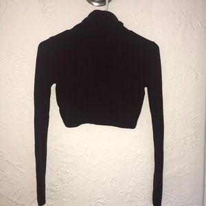 Topshop Crop-top Turtle Neck